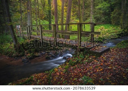A scenic shot of a river that goes through the gorgeous forest and a bridge over it