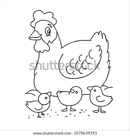 this is a cute and beautiful chicken images line art ,outline drawing,vector art and illustrations art