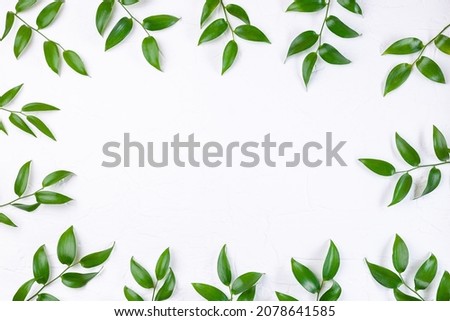 Frame with green leaves on white background, horizontal, copy space