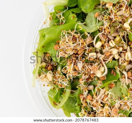 Lettuce and microgreens, alfalfa and clover sprouts, wheat bean and lentil sprouts. Organic grains good for salads and breads. Raw, vegan, vegetarian healthy food concept. Healthy diet and vegetarian  Royalty-Free Stock Photo #2078767483