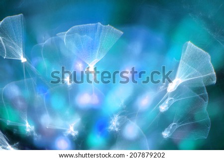 abstract background with defocused lights   