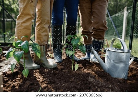Low section of group of senior women gardeners in rainboots standing in greenhouse. Royalty-Free Stock Photo #2078863606