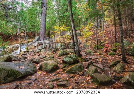 Scenic Trail at Duchesnay Provincial Park North Bay Ontario Canada in Autumn, fall colored leaves, mossy rocks, green lichens on a rainy day 