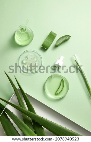 Aloe vera extract research in laboratory with a petri dish dropper in light green background for aloe vera research advertising , photography science content , top view