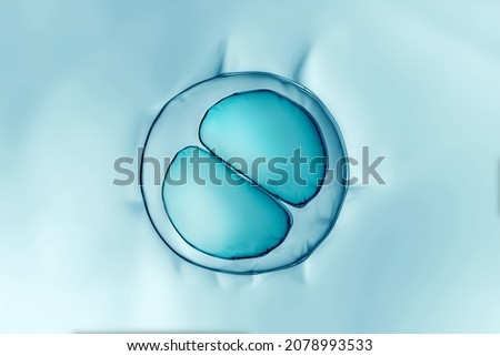 Cells division process, Cell divides into two cells	 Royalty-Free Stock Photo #2078993533