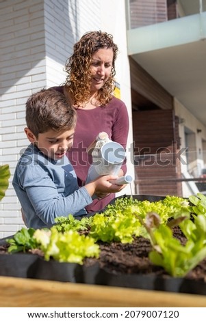 Mother and son watering vegetables in their urban garden
