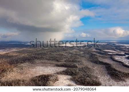 Aerial view of winter snowcovered forest