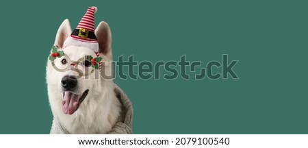Cute dog with Christmas decor on color background with space for text