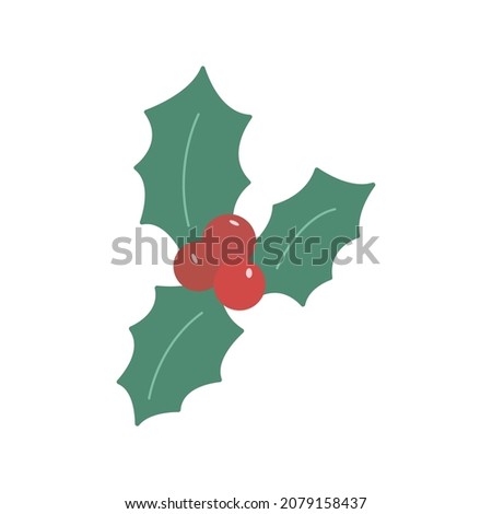 Holly leaves with berries. Christmas and New Year symbol. Colorful vector illustration hand drawn isolated icon card