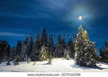 A fabulous New Year's trail from a bright star in the starry night sky as a wonderful background for green snow-covered Christmas trees