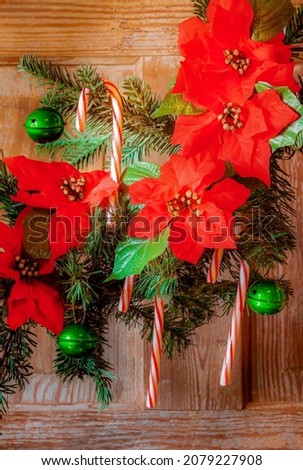 Jingle bells and red and white striped candy canes hang on Christmas tree branch with red Poinsettias.