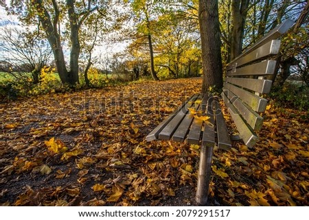 A chrome bench on the side of the Wirral Circular Trail near Neston in Cheshire seen in November 2021 on a carpet of golden coloured leaves.