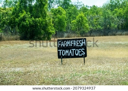 Hand printed sign for farm fresh tomatoes for sale at roadside stall ahead