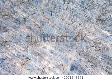 Winter forest photographed from a bird's eye view. Aerial photography, drone shot. Image template of textured wallpaper. Artistic photo. Abstract natural background with copy space. Beauty of earth.