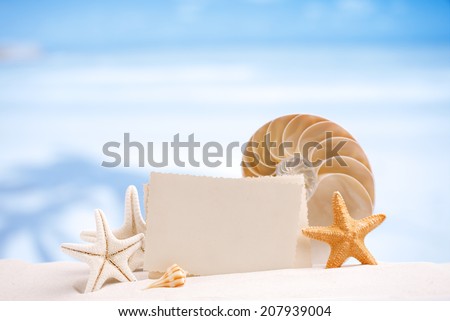 shells and starfish with blank retro photo on white sand beach, sky and seascape, shallow dof