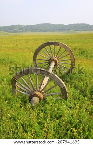 Wooden wheels in the grasslands, closeup of photo
