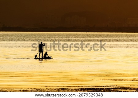 People on sea paddle boards ride on the calm sea during a bright sunset. Boat trip on SUP boards.
