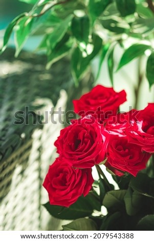 Bouquet of red roses as floral holiday gift, beautiful fresh garden flowers as home decor.