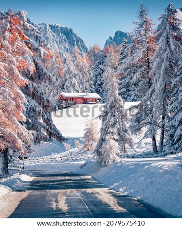 Empty road among snowy forest. First snow covered larch and fir trees at November. Wonderful autumn scene of Dolomite Alps, Italy, Europe. Traveling concept background. Royalty-Free Stock Photo #2079575410