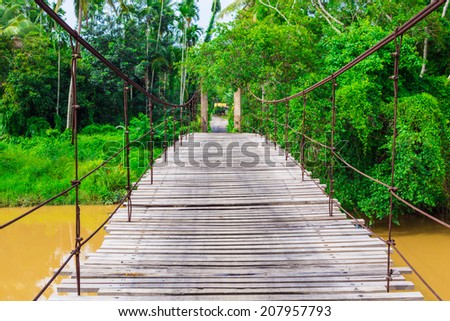 Old wooden long rope bridge cross the stream, cover with green plant