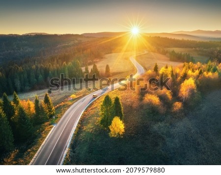 Aerial view of mountain road in forest at sunset in autumn. Top view from drone of road in woods. Beautiful landscape with roadway in hills, pine trees, green meadows, golden sunlight in fall. Travel Royalty-Free Stock Photo #2079579880