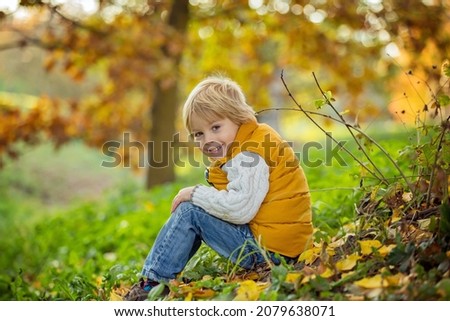 Happy child, playing with in autumn park on a sunny day, foliage and leaves all around him, eating musli bar