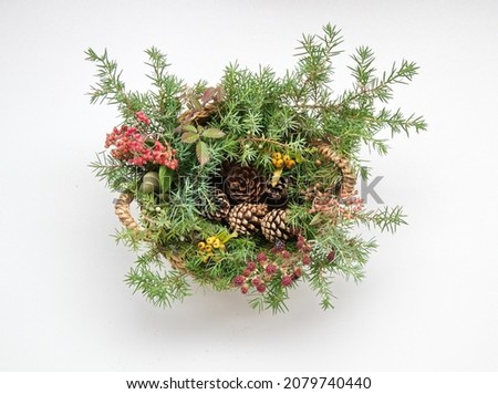 Christmas natural adornment with wild berries, conifer cones, spruce branches on white background
