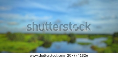background photo, abstract, defocused of the black water river with thick green plants around it.