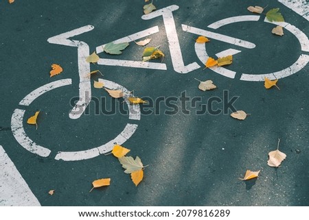 Bike path under the yellow foliage. Symbol of bicycle paths on the sidewalk