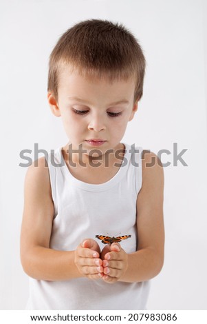 Little boy, holding butterfly, studio shot, isolated white background, focus on butterfly