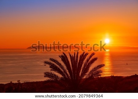 View of Catalina Island at Sunset, with palm trees