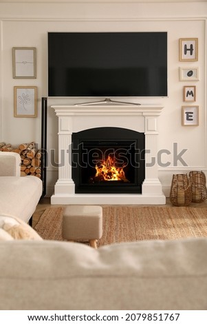 Stylish living room with modern TV and fireplace. Interior design
