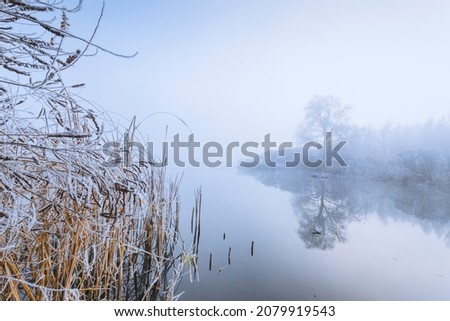 Magnificent scene of a morning foggy lake with rime-covered trees, reeds, and bushes on a banks. Royalty-Free Stock Photo #2079919543