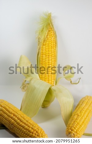 corn cobs on a light background. Funny corn.