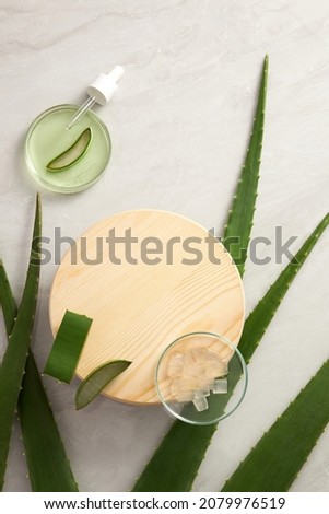 Aloe vera extract research in laboratory with a petri dish and a woonen dish dropper in white background for aloe vera research advertising , photography science content