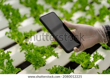 Farmer using smartphone modern technology, smartphone blank screen, empty display use for application information and advertise.