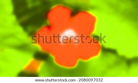 defocus abstract background of colorful wallpaper purple, green, red, orange, yellow, green, blue                   
