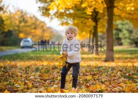 Happy child, playing with pet dog in autumn park on a sunny day, foliage and leaves all around him