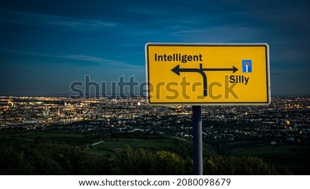 Street Sign the Direction Way to Intelligent versus Silly
