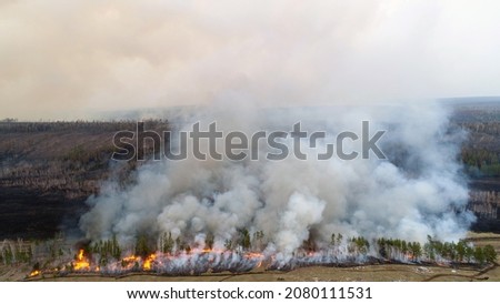 Top view of the field with a line of fire. Epic footage, puffs of smoke, spread of fire. Deforestation, burning dry grass. Climate change and ecology. Uncontrolled rural fire in the Irkutsk region.  Royalty-Free Stock Photo #2080111531