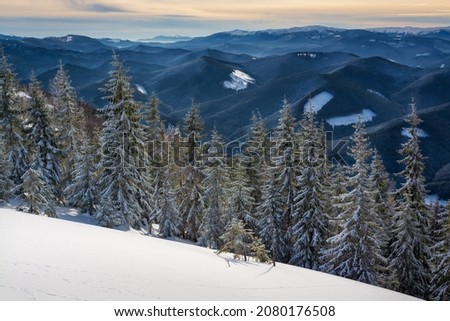 Winter. Landscape of high mountains with snow white peaks and forests. Wallpaper background. Natural scenery. Location place Carpathian, Ukraine, Europe