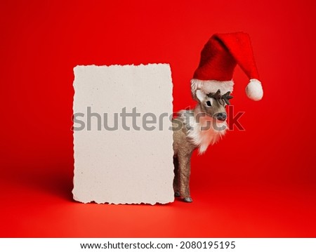 Christmas card with reindeer wearing Santa Claus hat and blank paper note with copy space on vibrant red background. Creative Xmas or New Year celebration concept. Winter holidays greeting card.
