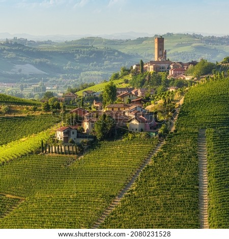Beautiful hills and vineyards surrounding Barbaresco village in the Langhe region. Cuneo, Piedmont, Italy. Royalty-Free Stock Photo #2080231528