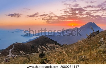 sunset over field of Imperata cylindrica, or cogongrass or kunai grass at Sunset Peak or Tai Tung Shan in Lantau Island, Hong Kong Royalty-Free Stock Photo #2080234117