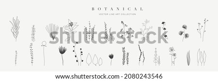 Botanical arts. Hand drawn continuous line drawing of herbs, abstract flower, floral, ginkgo, rose, tulip, bouquet of olives. Vector illustration.
 Royalty-Free Stock Photo #2080243546