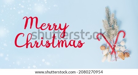 Christmas background with a branch of a Christmas tree, candy cane on a blue background. Place for text, topview