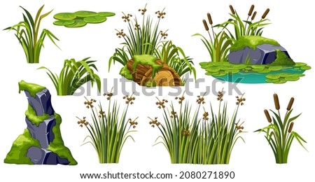 Logs, stumps, stone in moss. Marsh reed, grass, swamp cattails. Cartoon broken tree in lichen in swamp jungle. Rock in tropical damp forest. Set isolated vector element on white background. Royalty-Free Stock Photo #2080271890