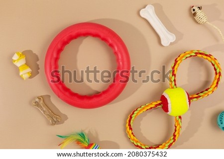 Different multicolored pet care accessories: bowl, bones, balls, snacks, mouse on beige background. Rubber and textile accessories for dogs and cats. Top view, flat lay.