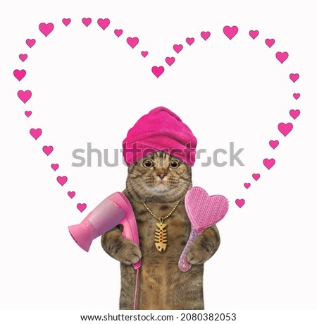 A beige cat with a pink towel around his head holds a hair dryer and a hairbrush. White background. Isolated.