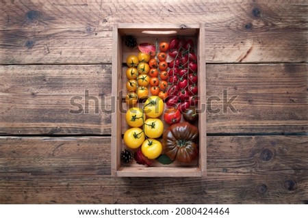 Wooden box with colourful selection of tomatoes, assorted varieties including borange, monterosa and heriloom
